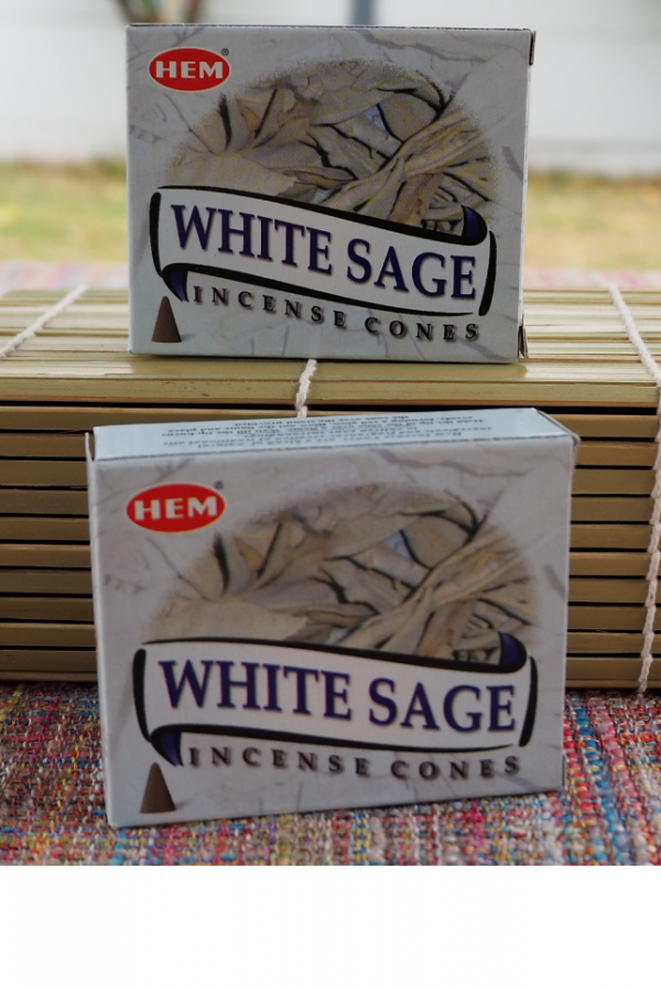 Cônes Sauge Blanche